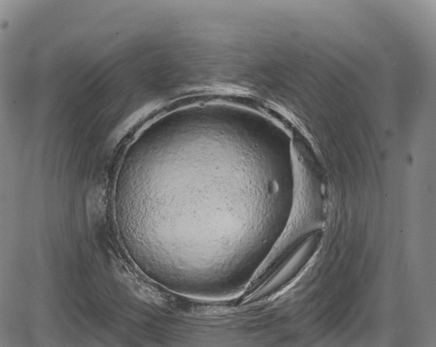 X0000085061163200703121517