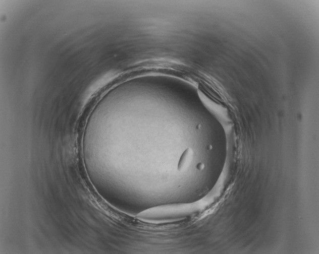 X0000085061164200703121517