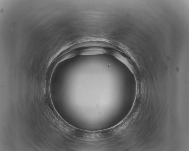 X0000085061165200703121517