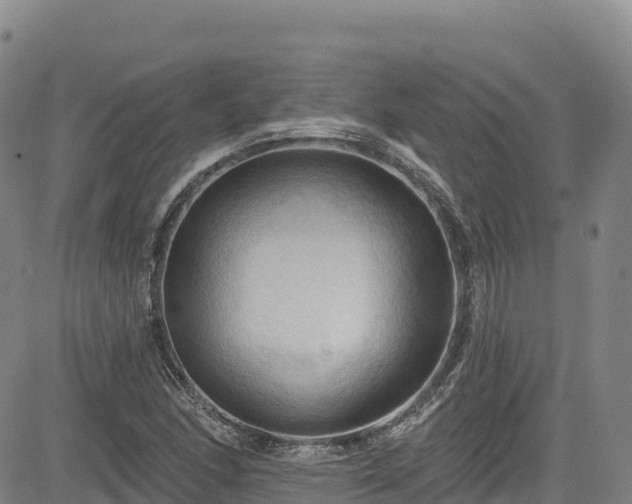 X0000085061166200703121517