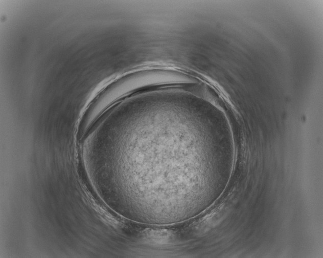 X0000085061168200703121517