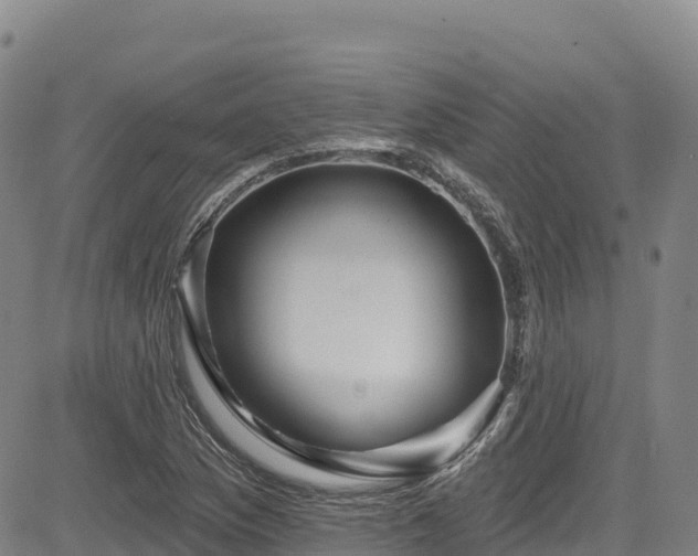 X0000085061169200703121517