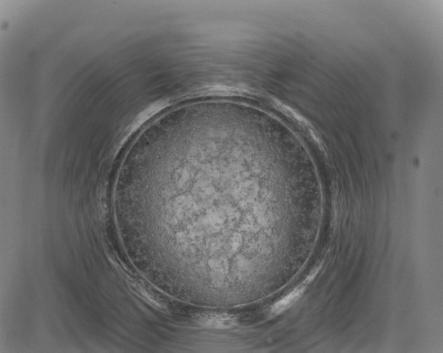 X0000085061170200703121517