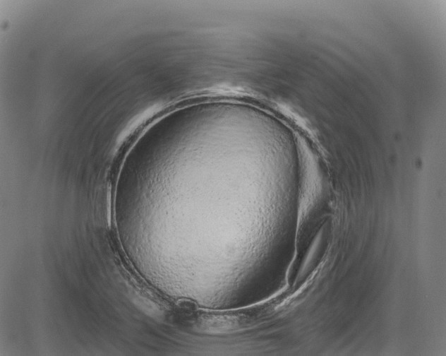 X0000085061171200703121517