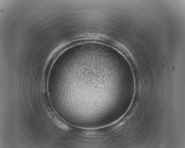 X0000085061172200703121517