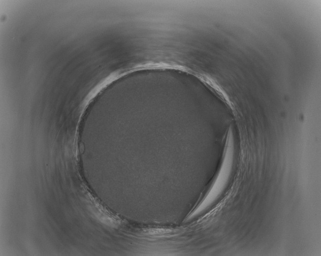 X0000085061173200703121517