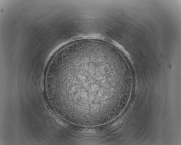 X0000085061174200703121517