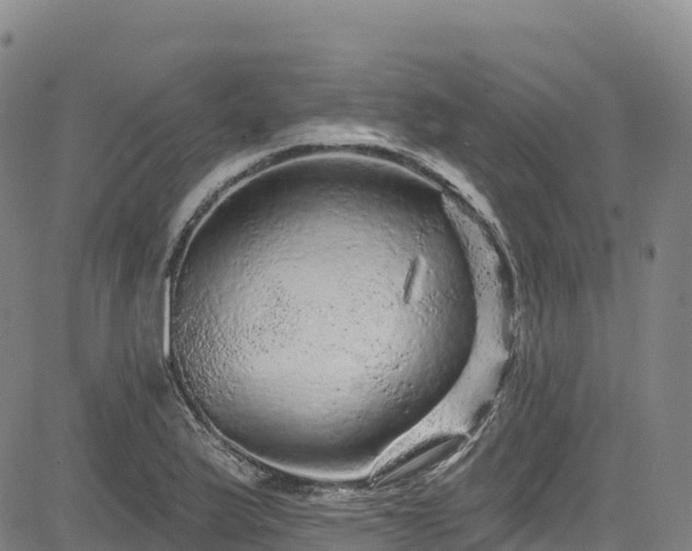 X0000085061175200703121517