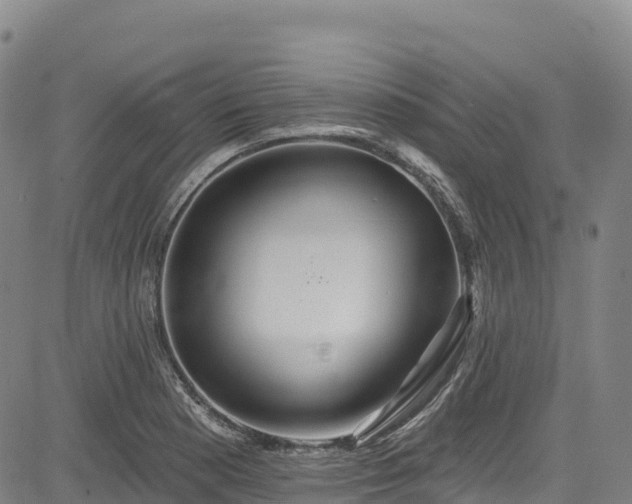 X0000085061177200703121517