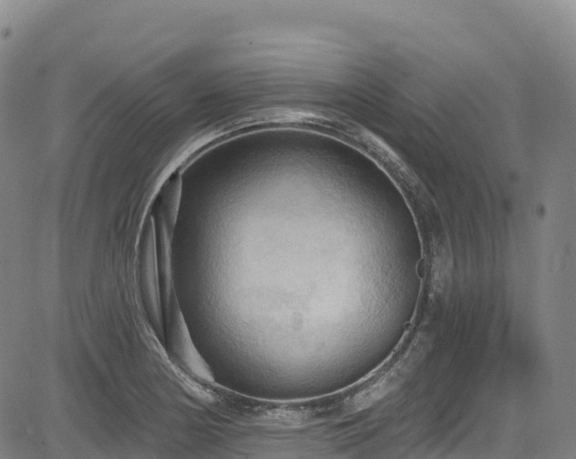 X0000085061178200703121517