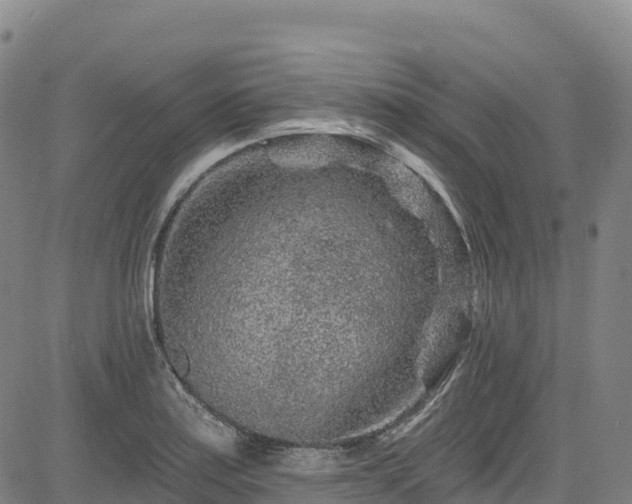 X0000085061179200703121517