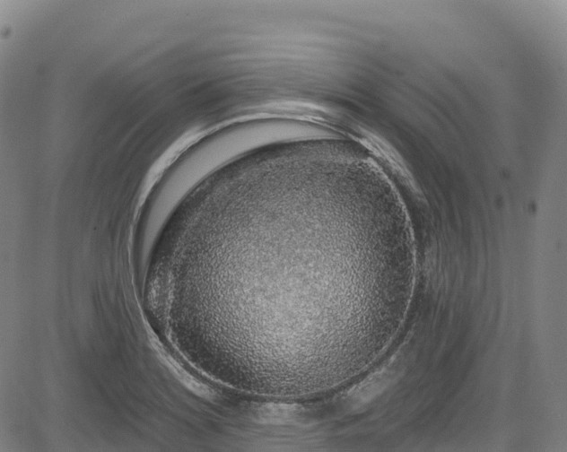 X0000085061180200703121517