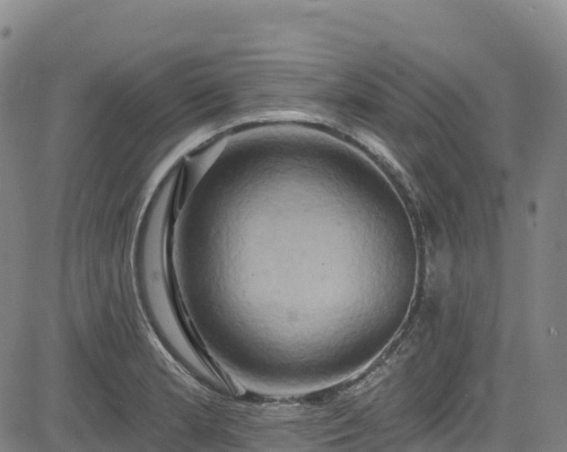 X0000085061181200703121517