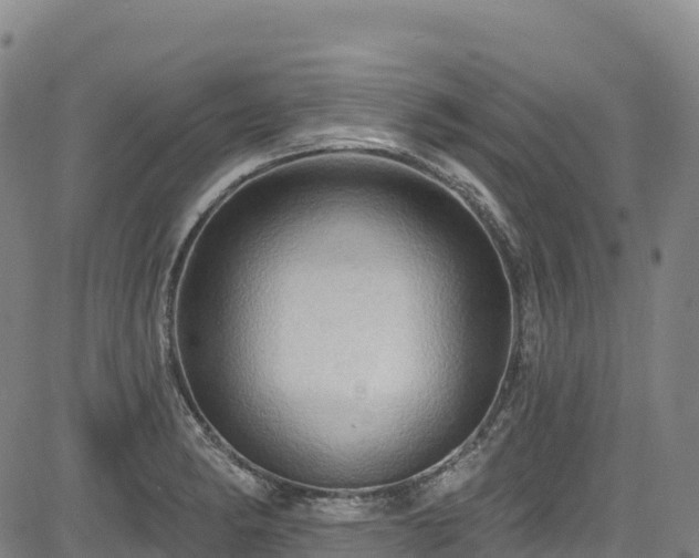 X0000085061182200703121517