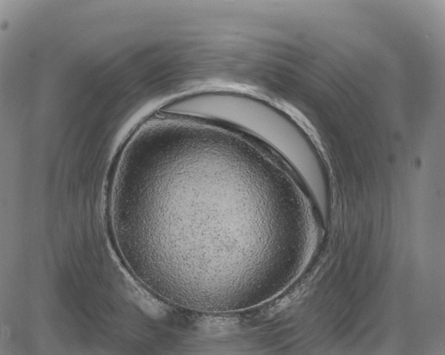 X0000085061183200703121517