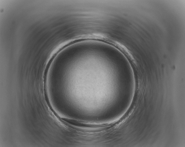 X0000085061184200703121517