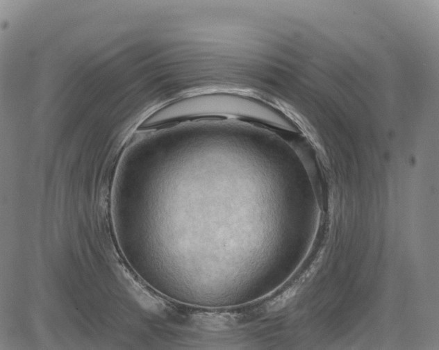 X0000085061185200703121517