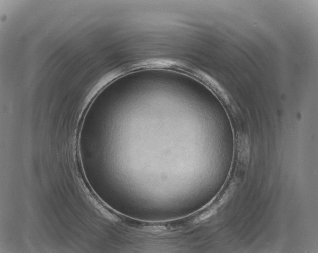 X0000085061186200703121517