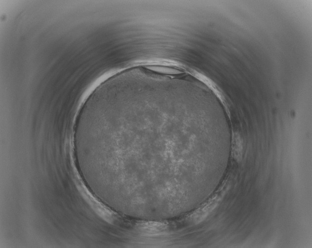 X0000085061187200703121517