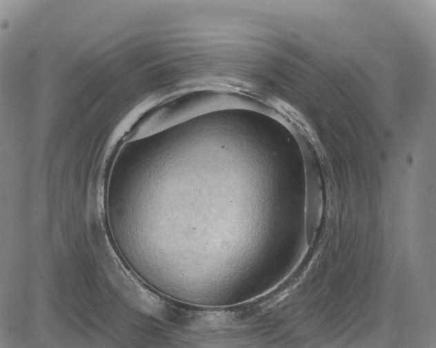 X0000085061188200703121517