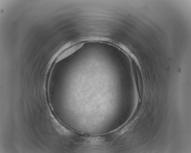 X0000085061189200703121517