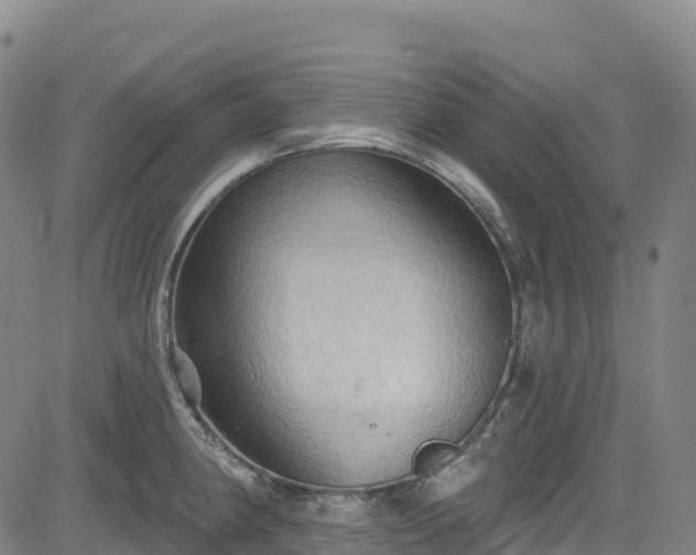 X0000085061190200703121517