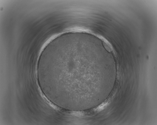 X0000085061191200703121517