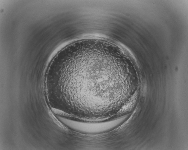 X0000085061192200703121517