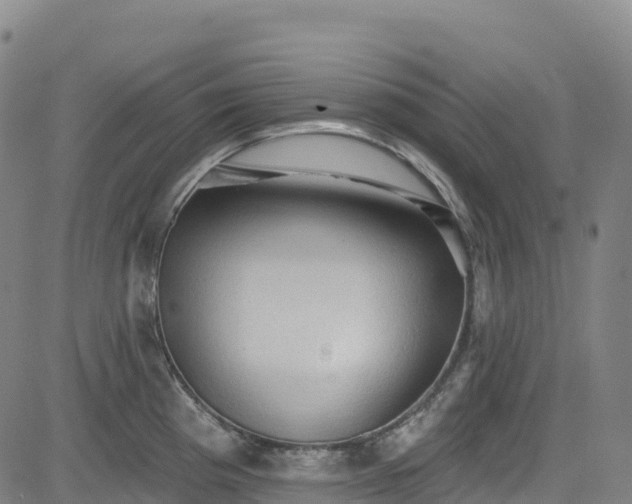 X0000085061193200703121517