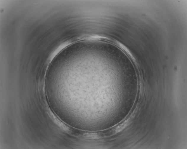 X0000085061194200703121517