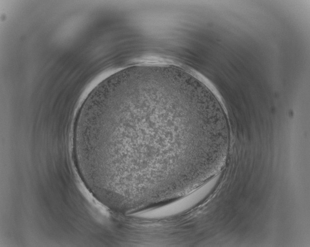 X0000085061195200703121517