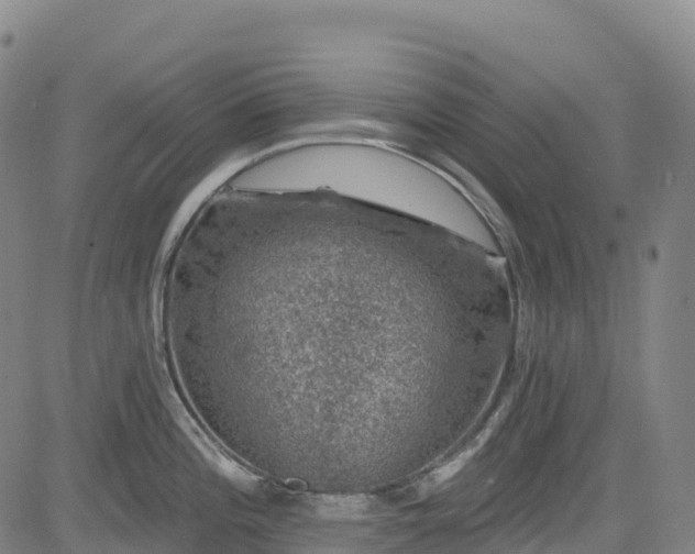 X0000085061196200703121517