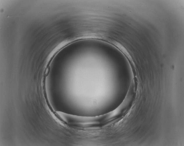 X0000085061197200703121517