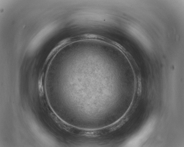 X0000085061198200703121517