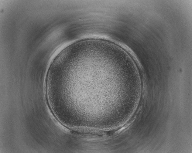 X0000085061199200703121517