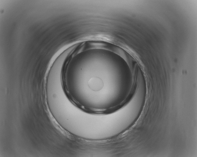 X0000085061200200703121517