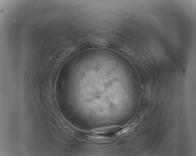 X0000085061201200703121516