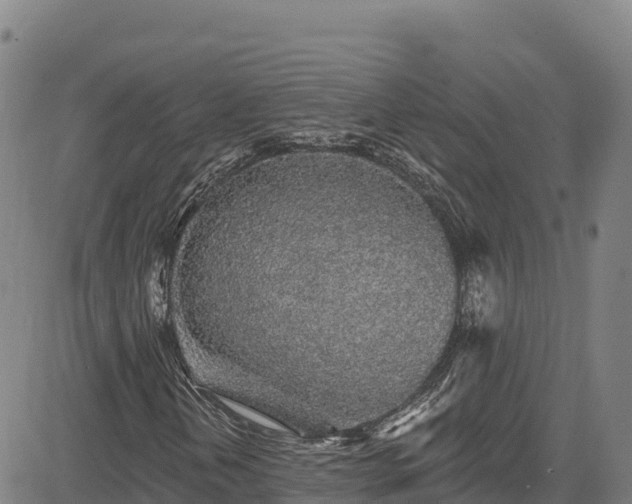 X0000085061202200703121516