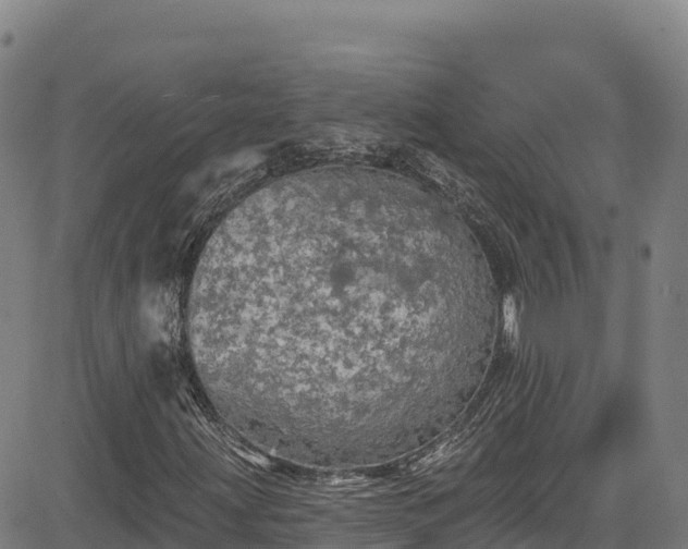 X0000085061203200703121516