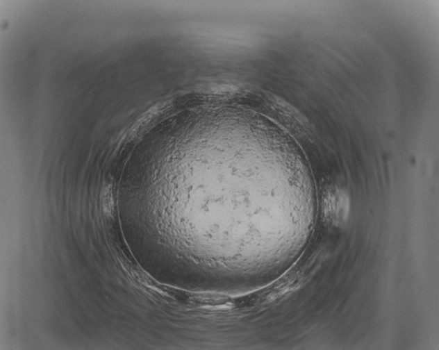 X0000085061204200703121516