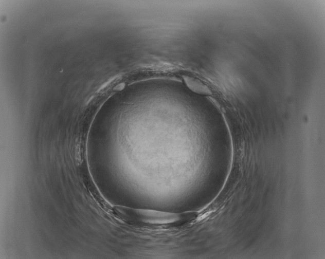 X0000085061205200703121516