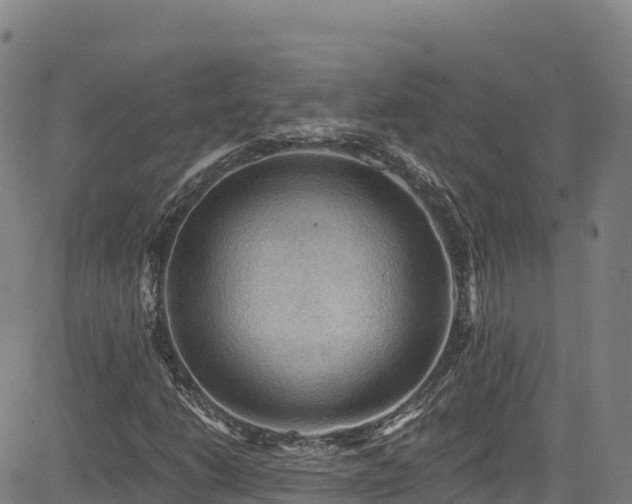 X0000085061206200703121516