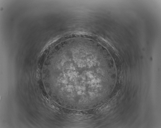 X0000085061207200703121516