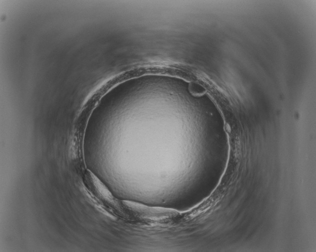 X0000085061208200703121516