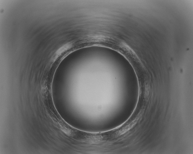 X0000085061210200703121516