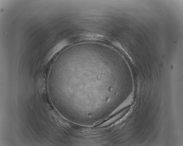 X0000085061211200703121516