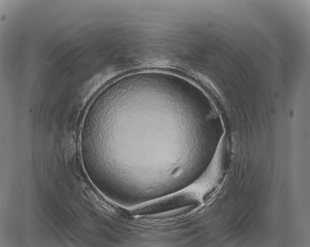 X0000085061212200703121516