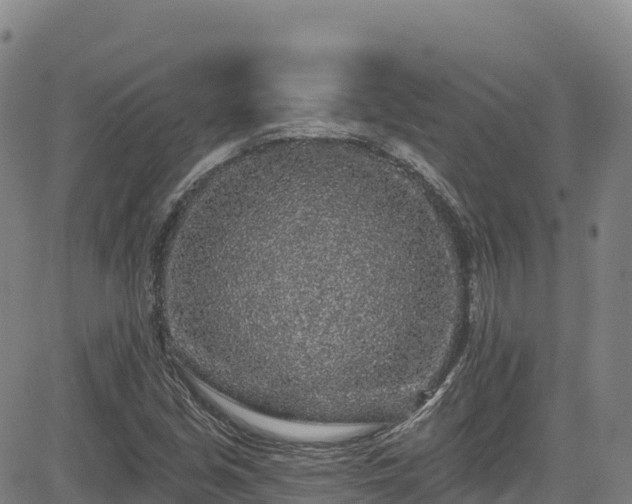 X0000085061213200703121516