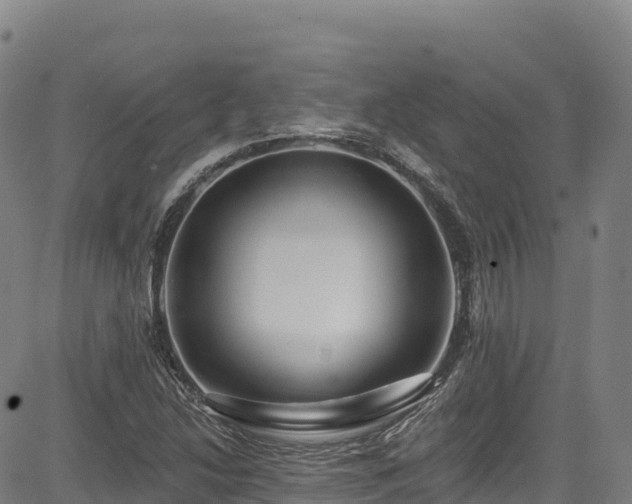 X0000085061214200703121516