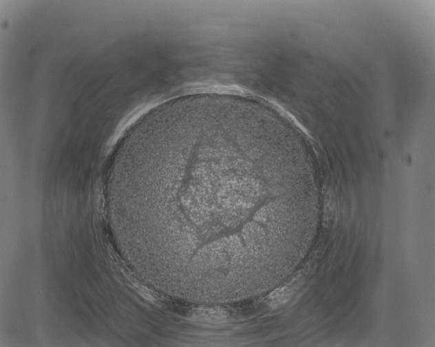 X0000085061215200703121516